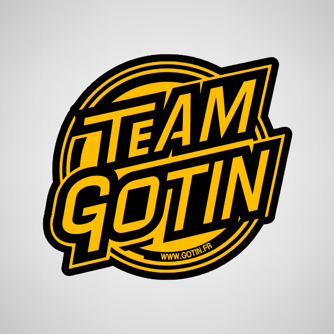 𝗦𝗧𝗜𝗖𝗞𝗘𝗥 Team GOTIN